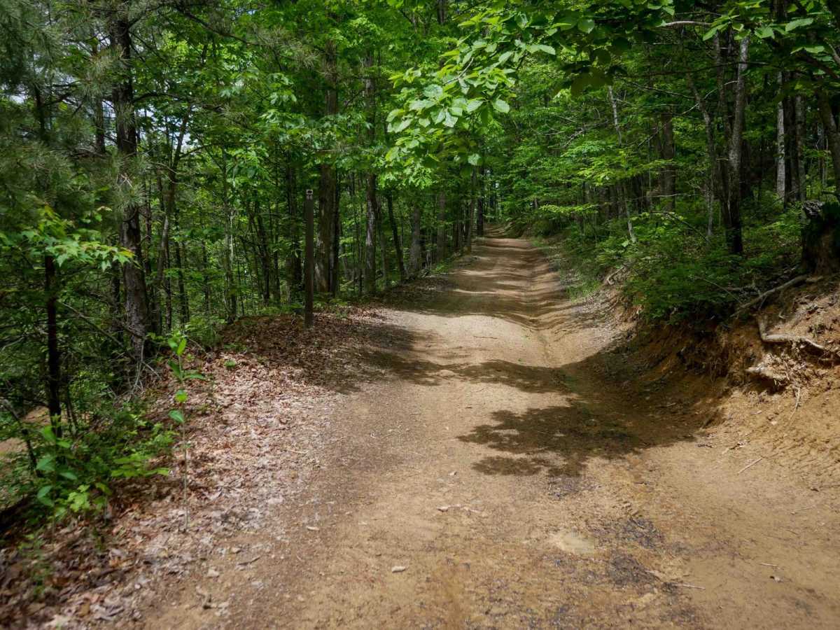 IB 66 trail photo
