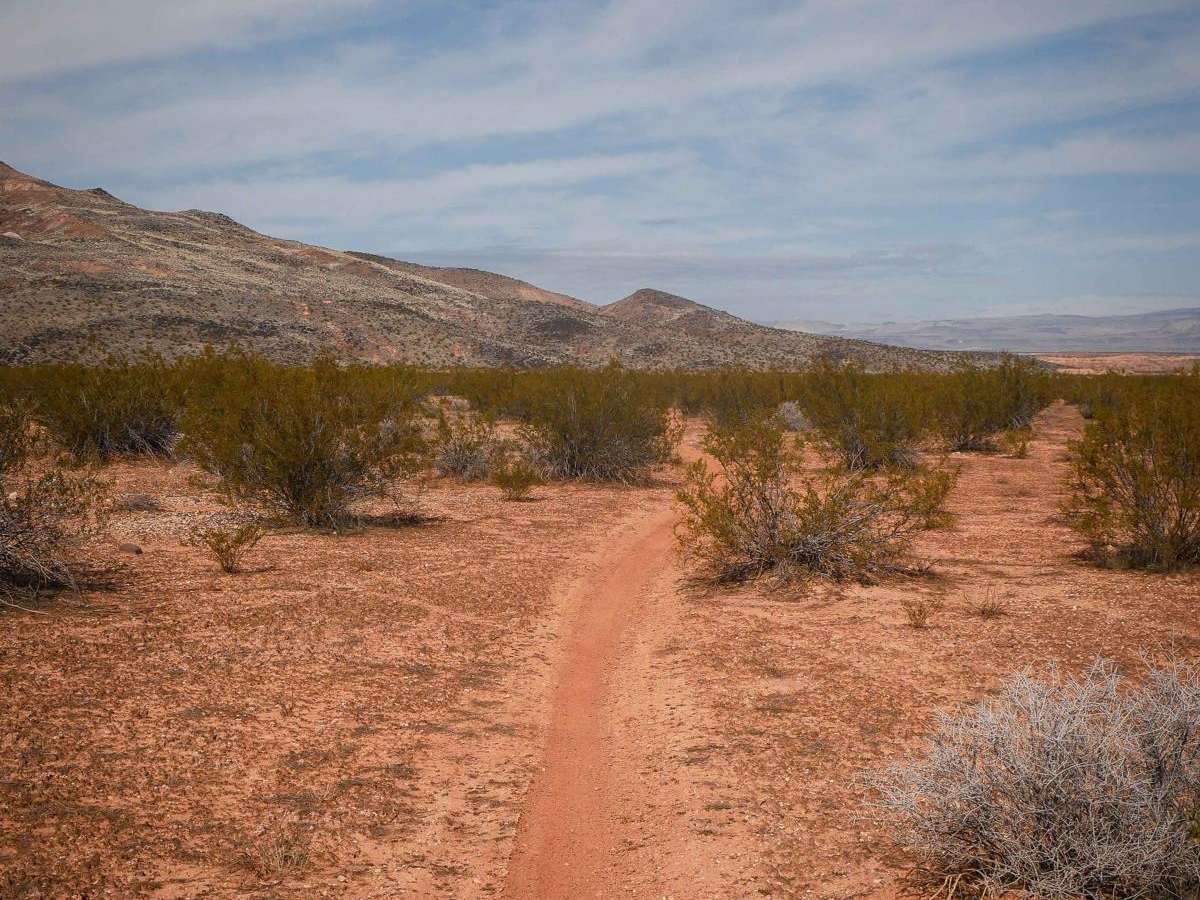 Connector Single Track trail photo