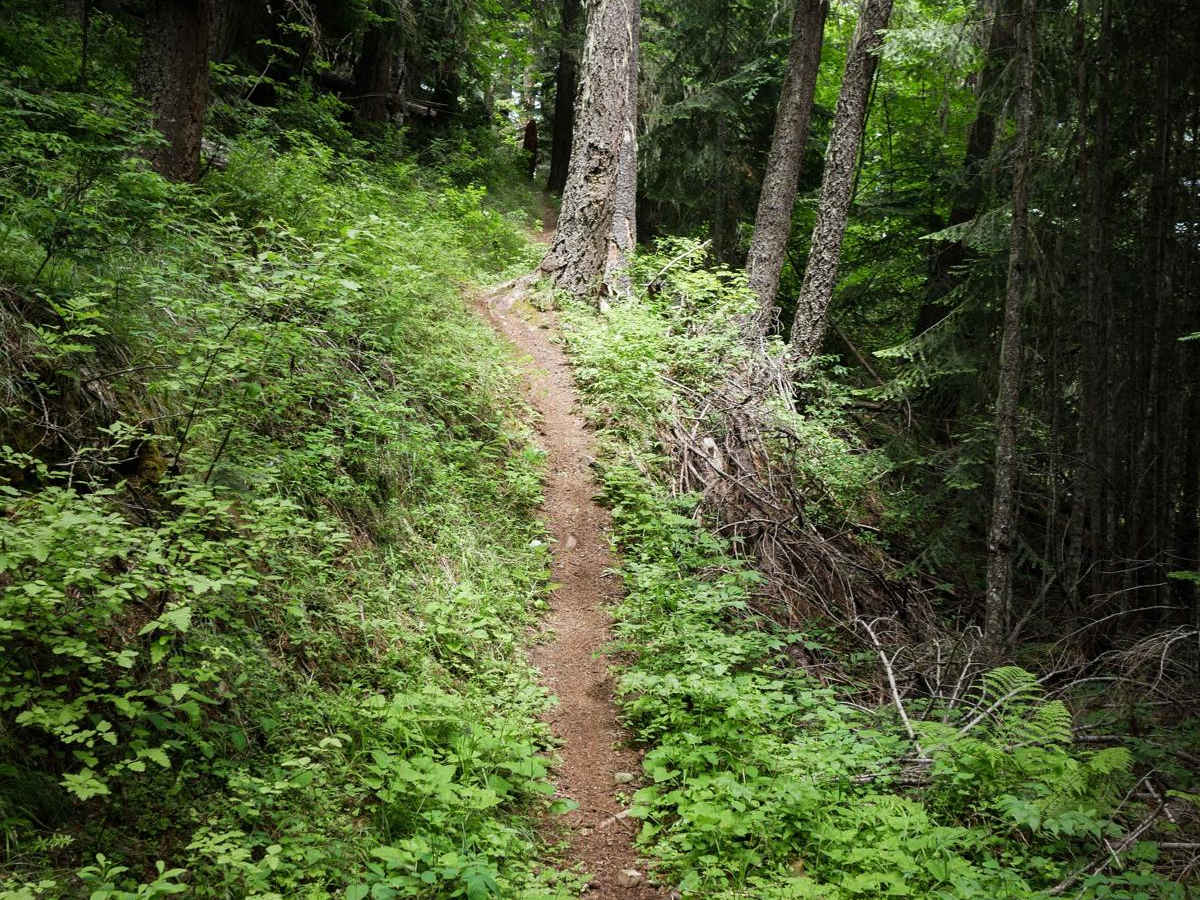Turner Peak photo 5