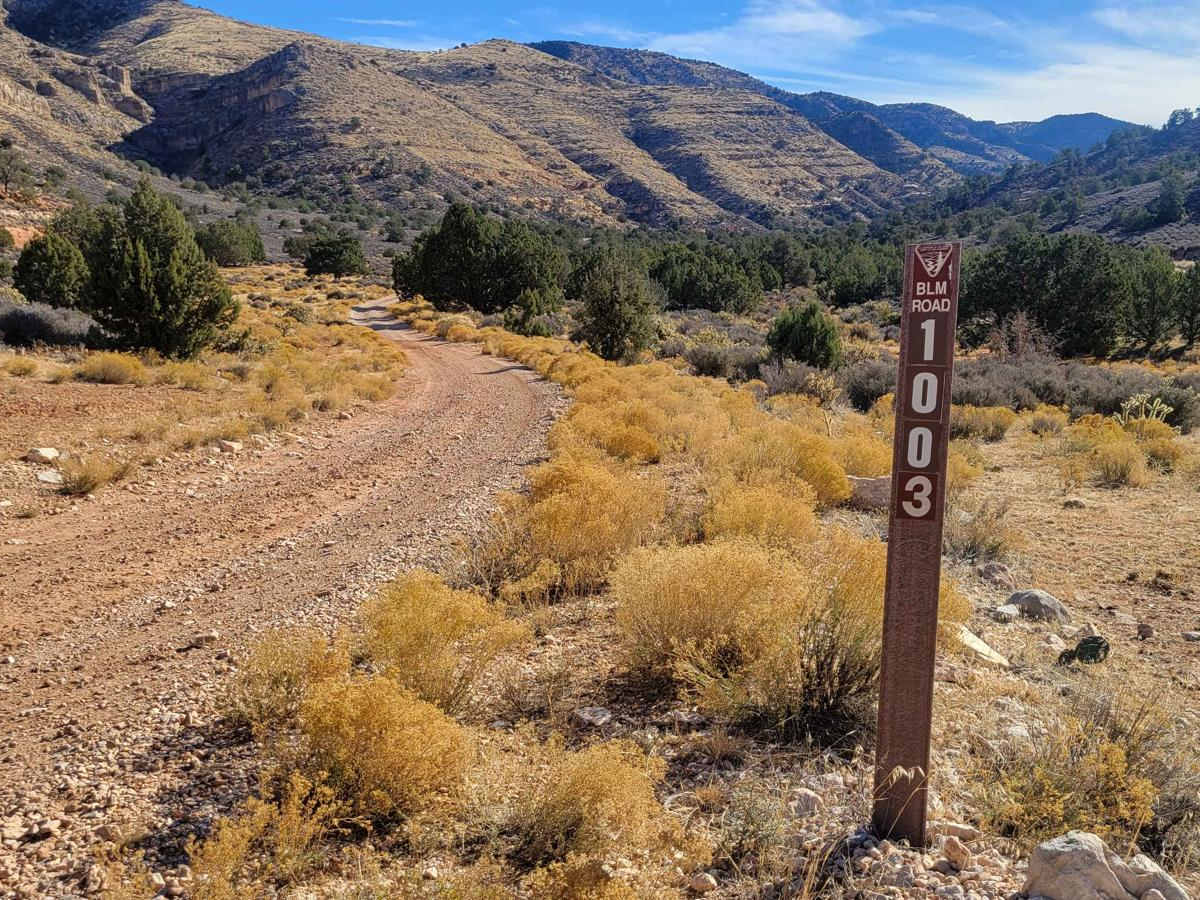 Hidden Canyon Road East - BLM 1003 trail photo