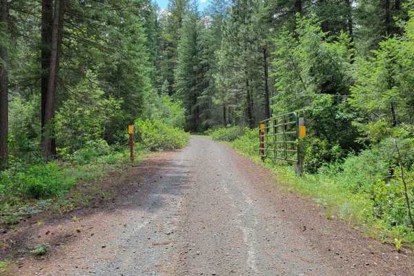 Newby Creek (4350100)