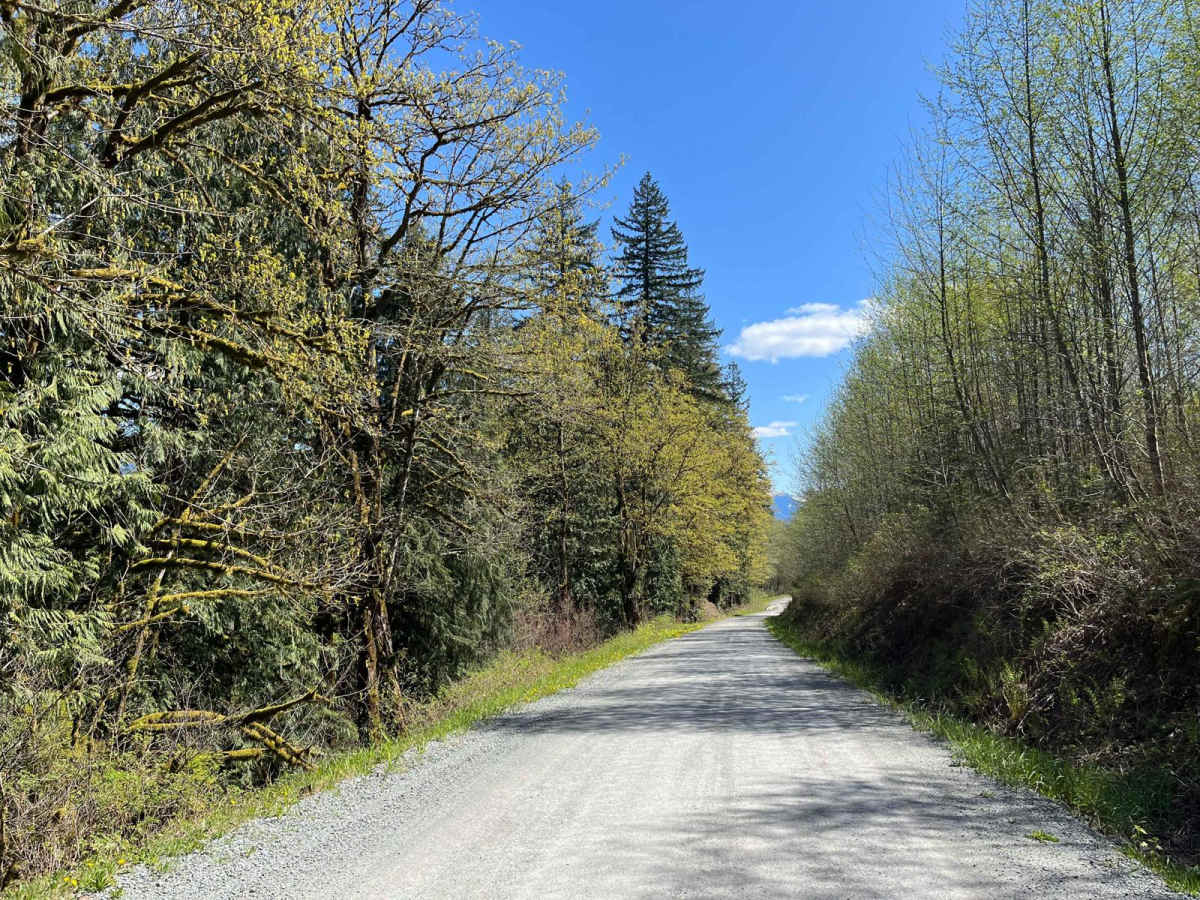 Lake Cavanaugh Road photo 3