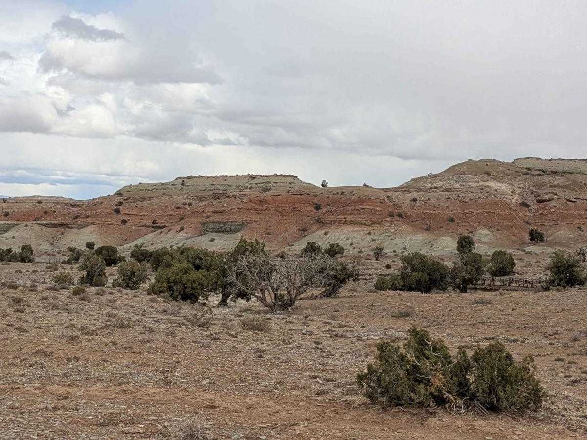Wedge Overlook Loop 2 (3519) trail photo