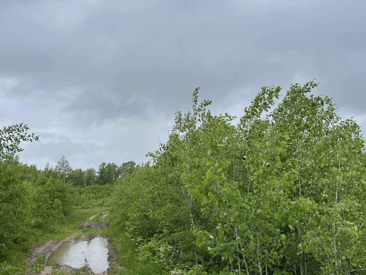 Hill to Granholm photo 5