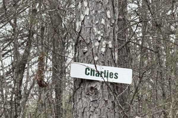#96 Charlie's Trail