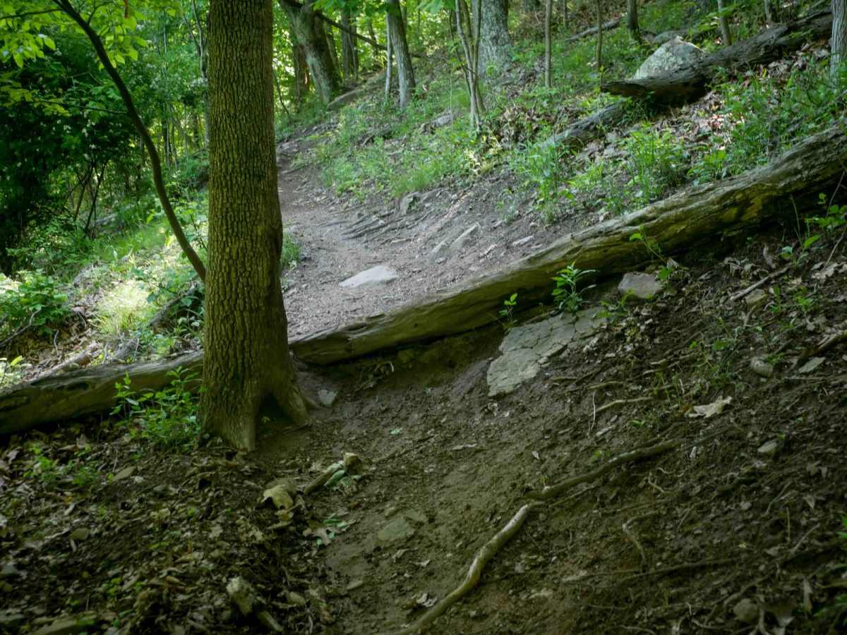River Road photo 2