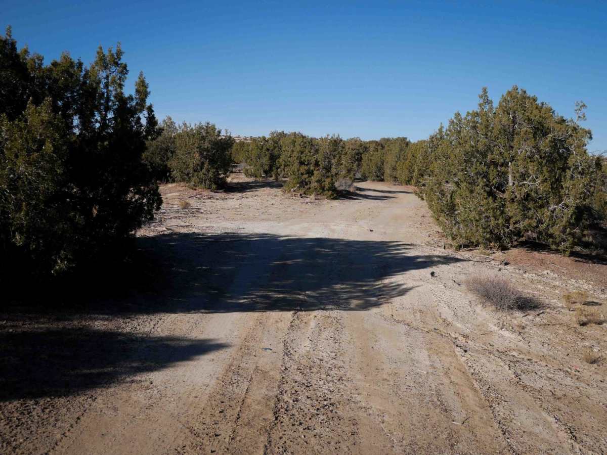 Narrow Wash ATV photo 4