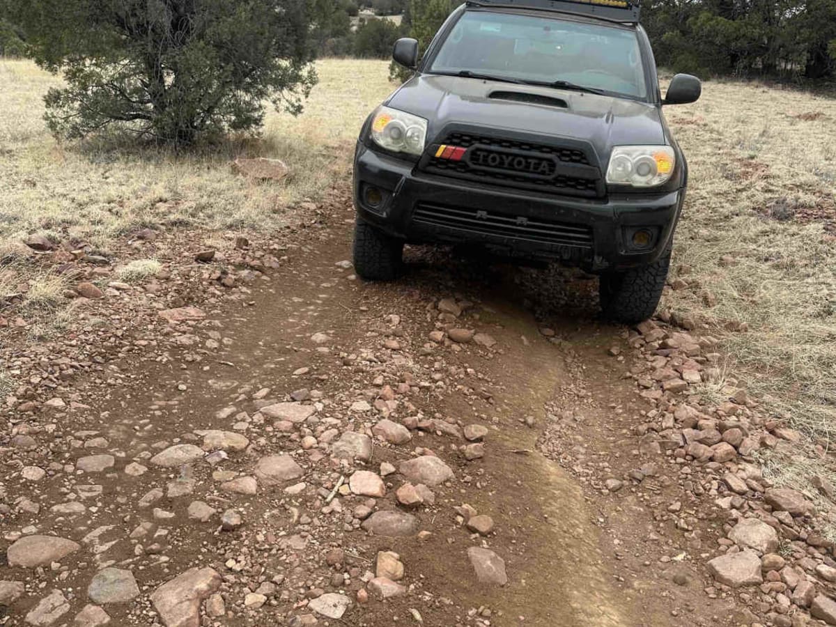 PV Wilson trail photo