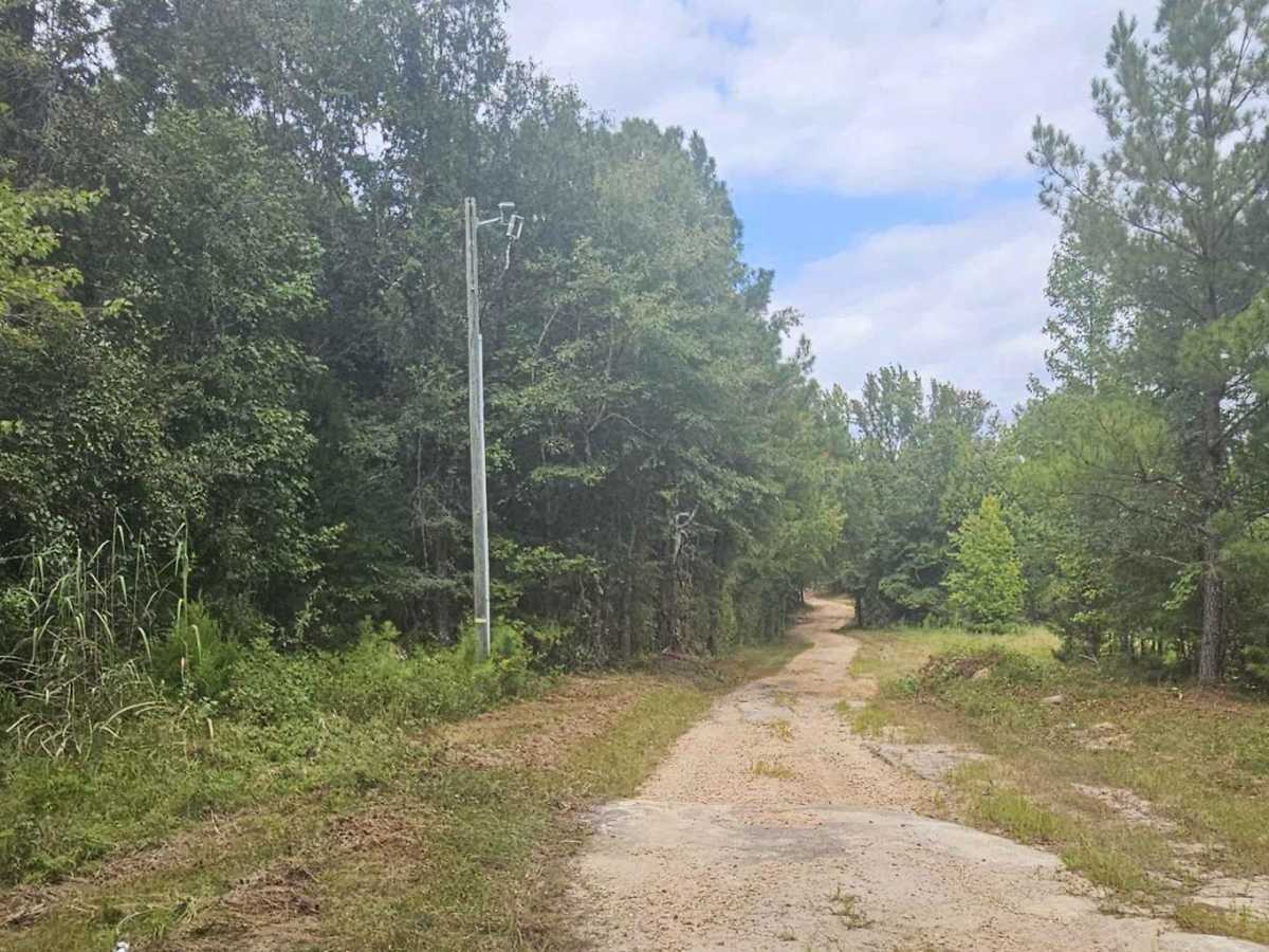 Mayson Crossroads Bypass - FS 585/585C photo 3