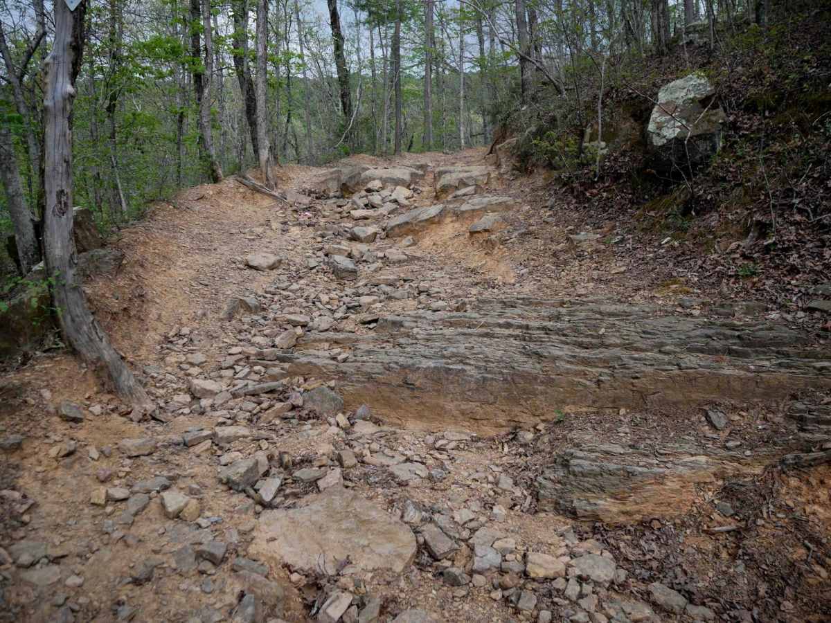 Black Oak Ridge Spur Northwest photo 2