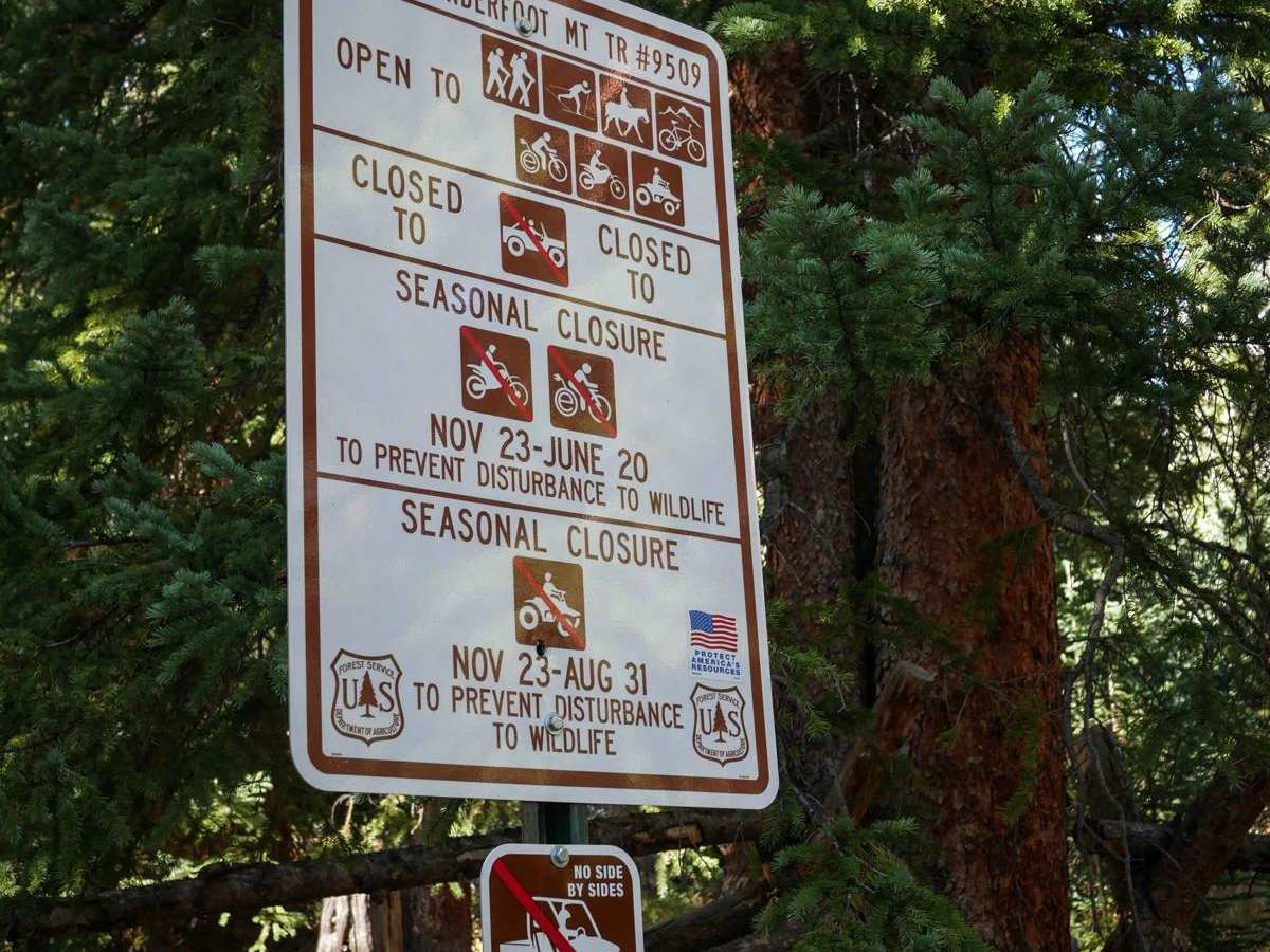 Middle Tenderfoot Mountain photo 2