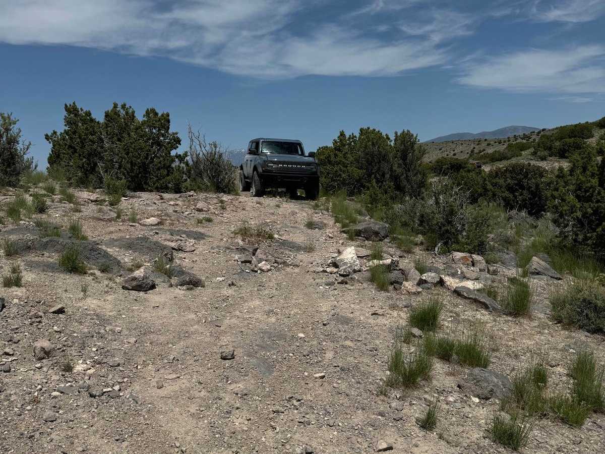Davis Mountain Pass photo 5