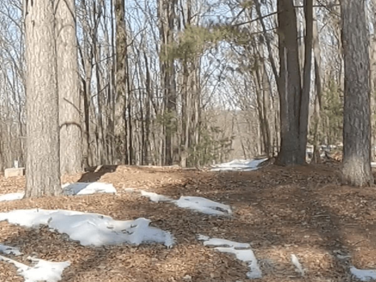 Portage Lake Fire Tower Trail photo 5