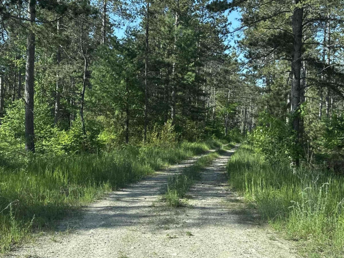 FS 3477 photo 2