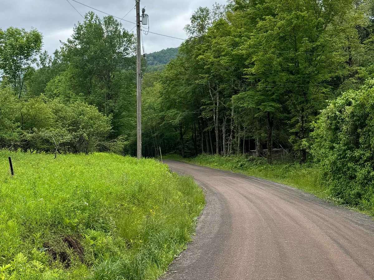 Carcass Brook Road trail photo
