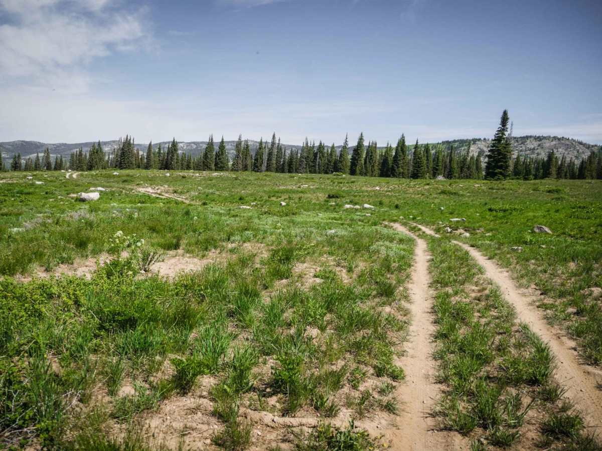 Hayden Archer Connector trail photo