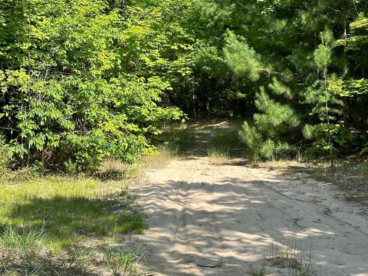 Beeman Road Spur photo 2