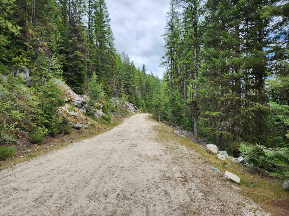 Smith Creek of Boundary County photo 6