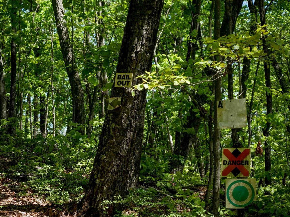 Stage 7 photo 6