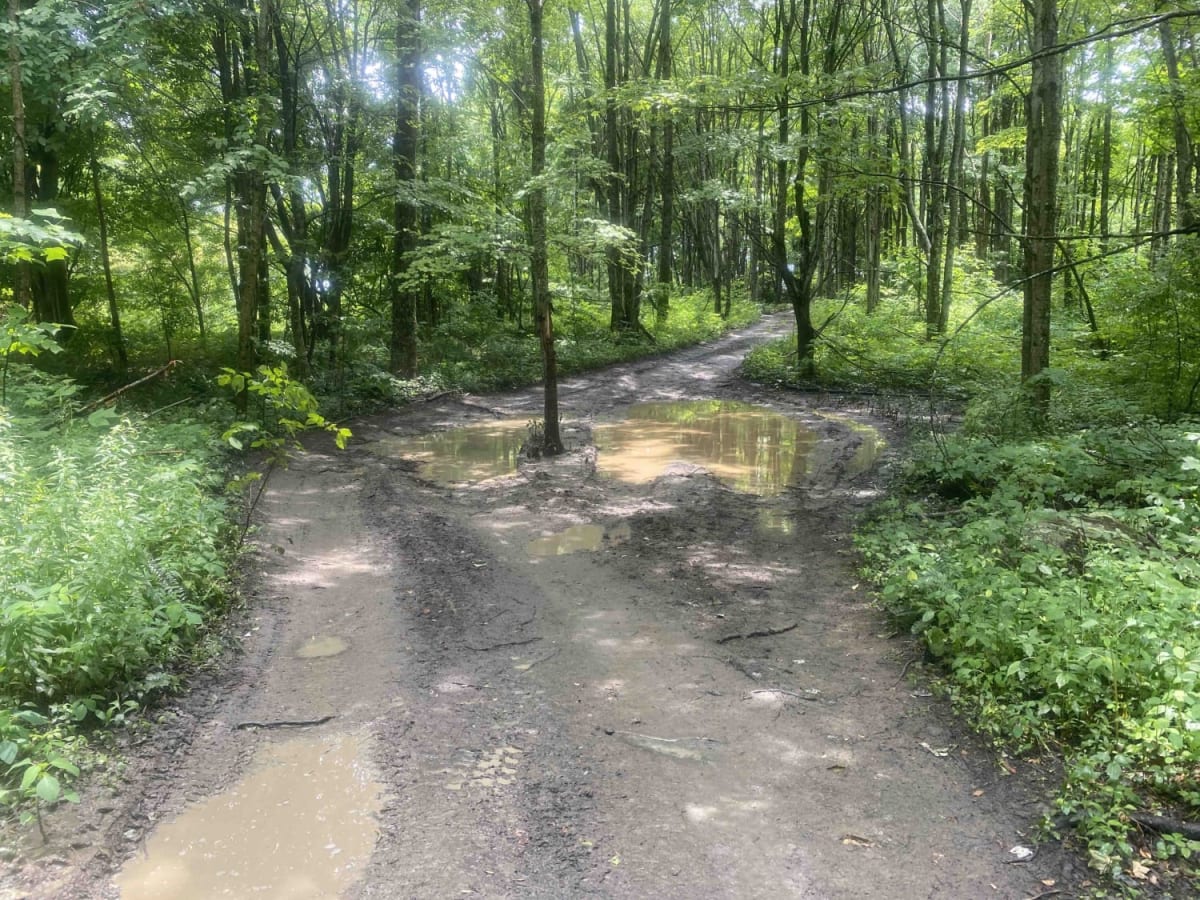 Trail 25 photo 4