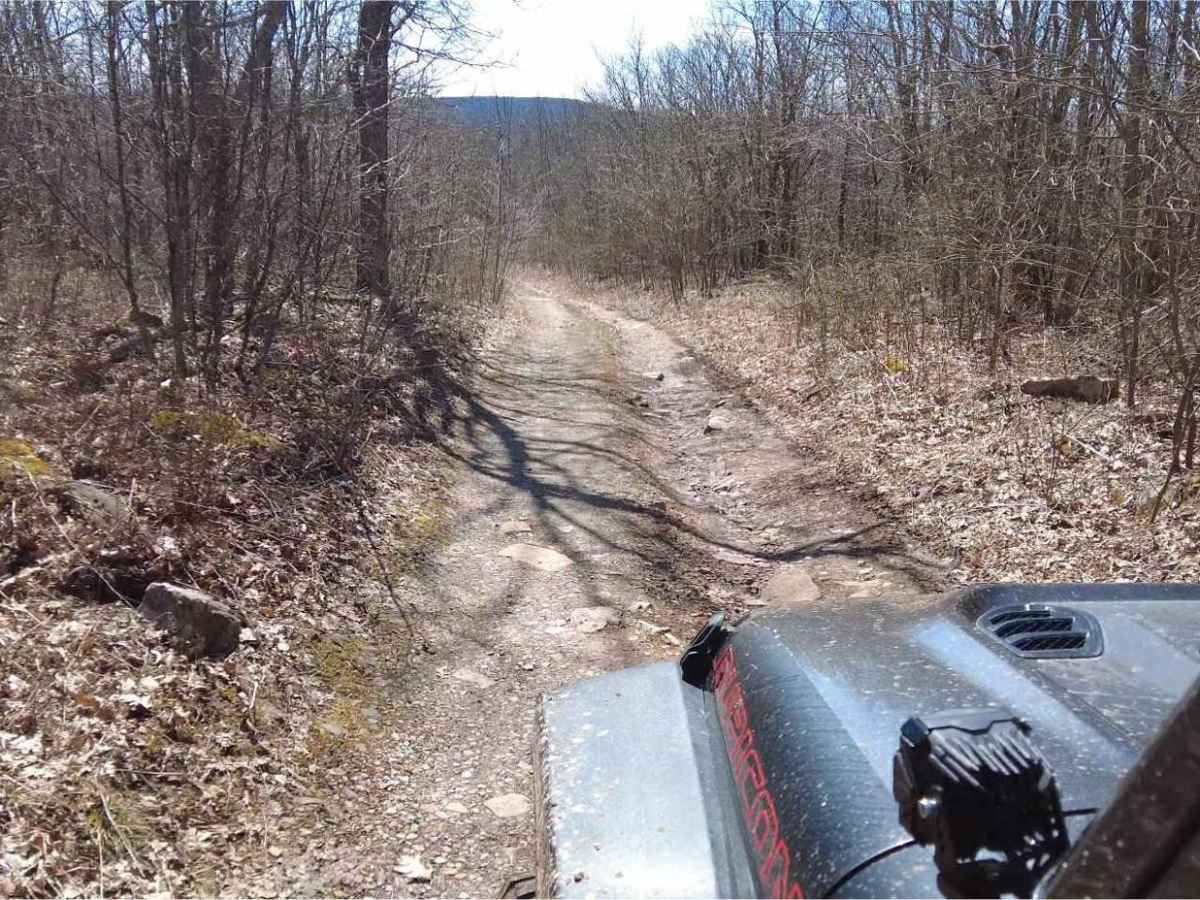 Bailey Gap to Butte Mountain photo 4