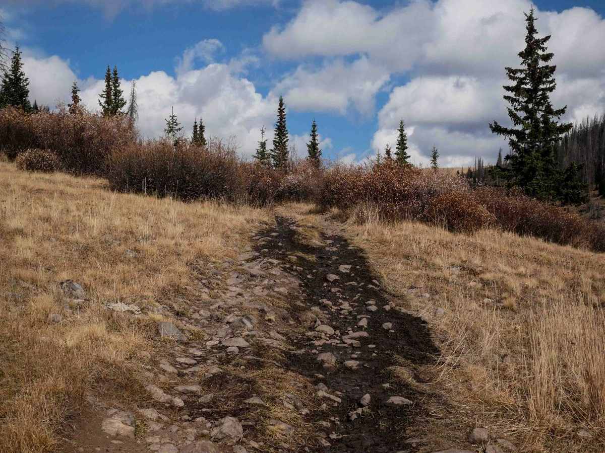 Perry Creek ATV photo 6
