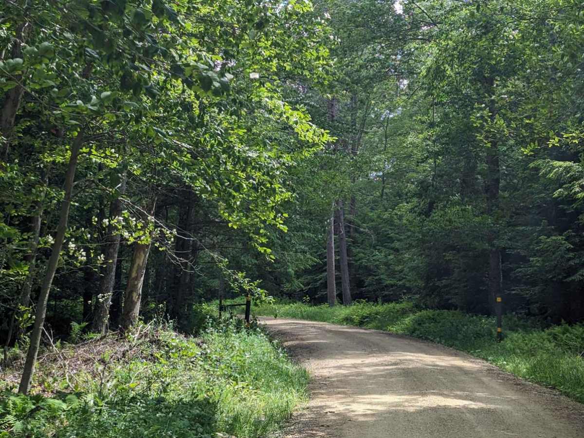 Loyalsock Road photo 6