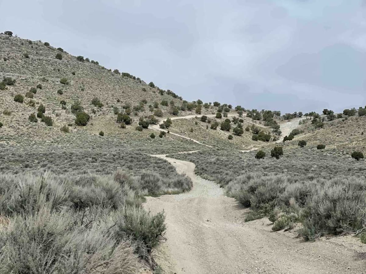 Whoopy Lane trail photo