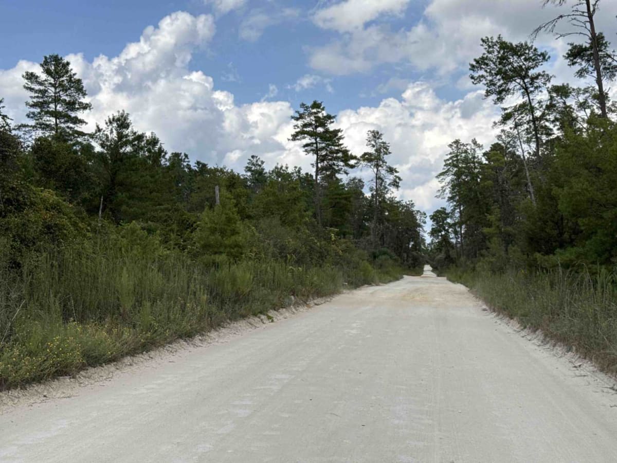 Railroad Grade Trail - ONF 57 photo 3