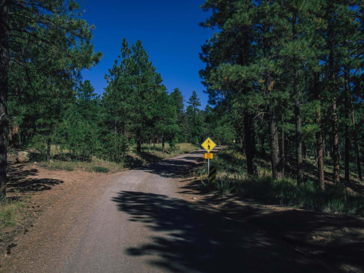 Schultz Pass photo 3