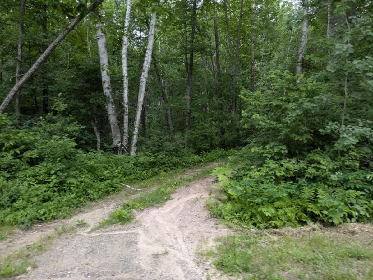 Bachelor Road Northwest photo 3