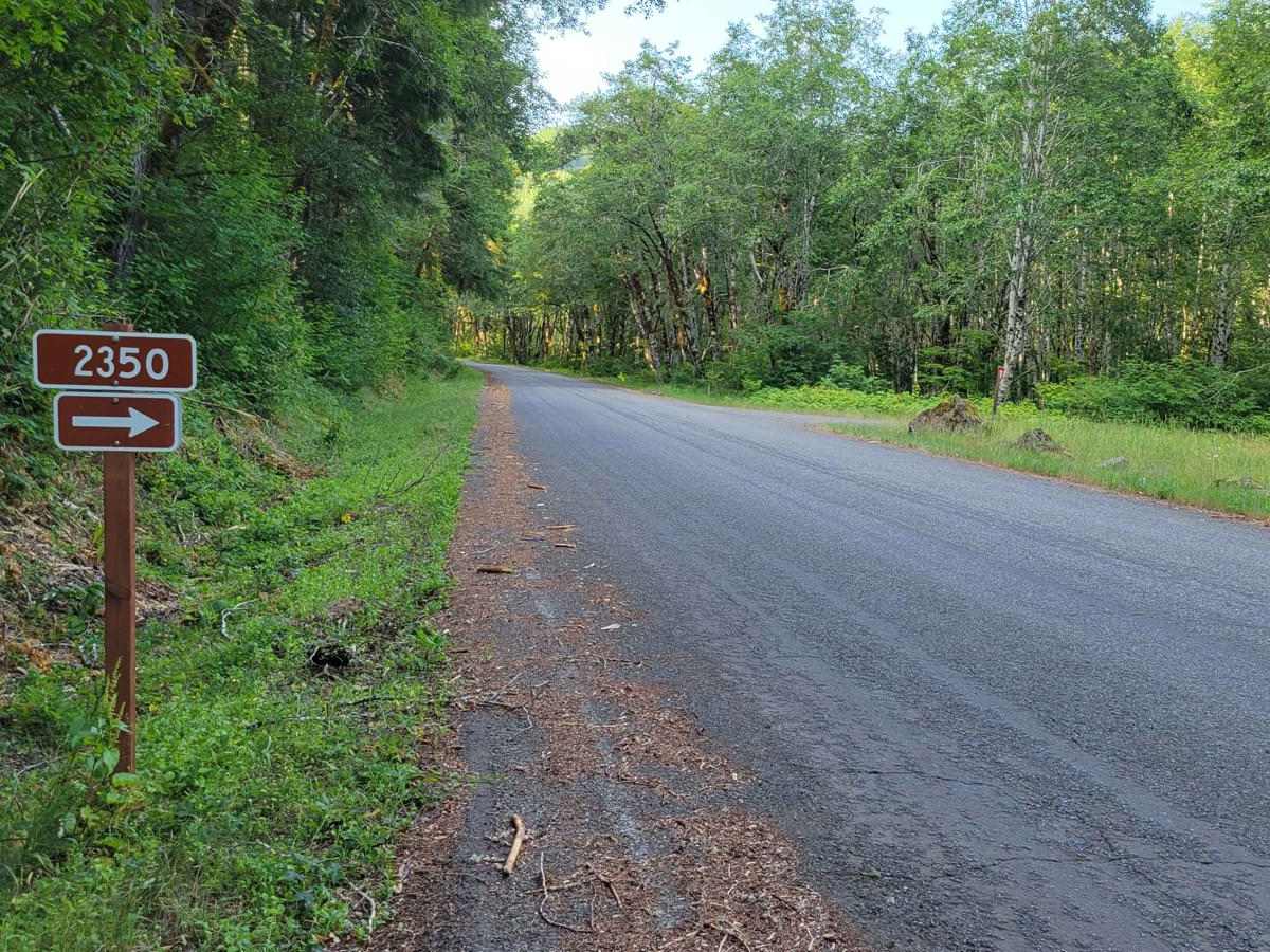 NF 2350 trail photo