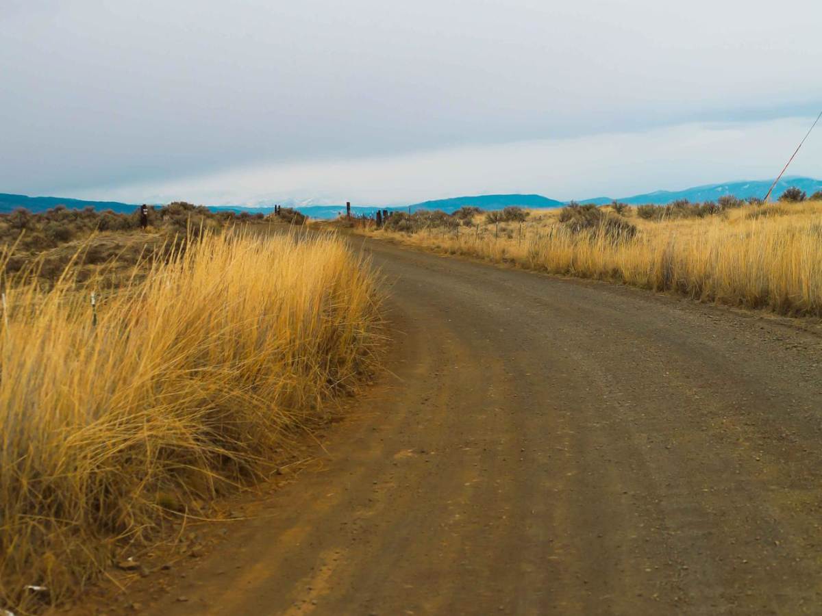 Durr Road to Umtanum Creek Camp trail photo