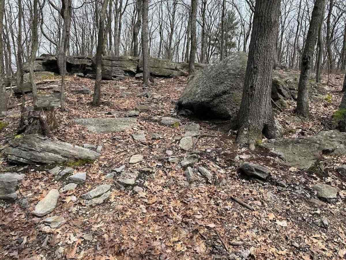 Muffin Top trail photo