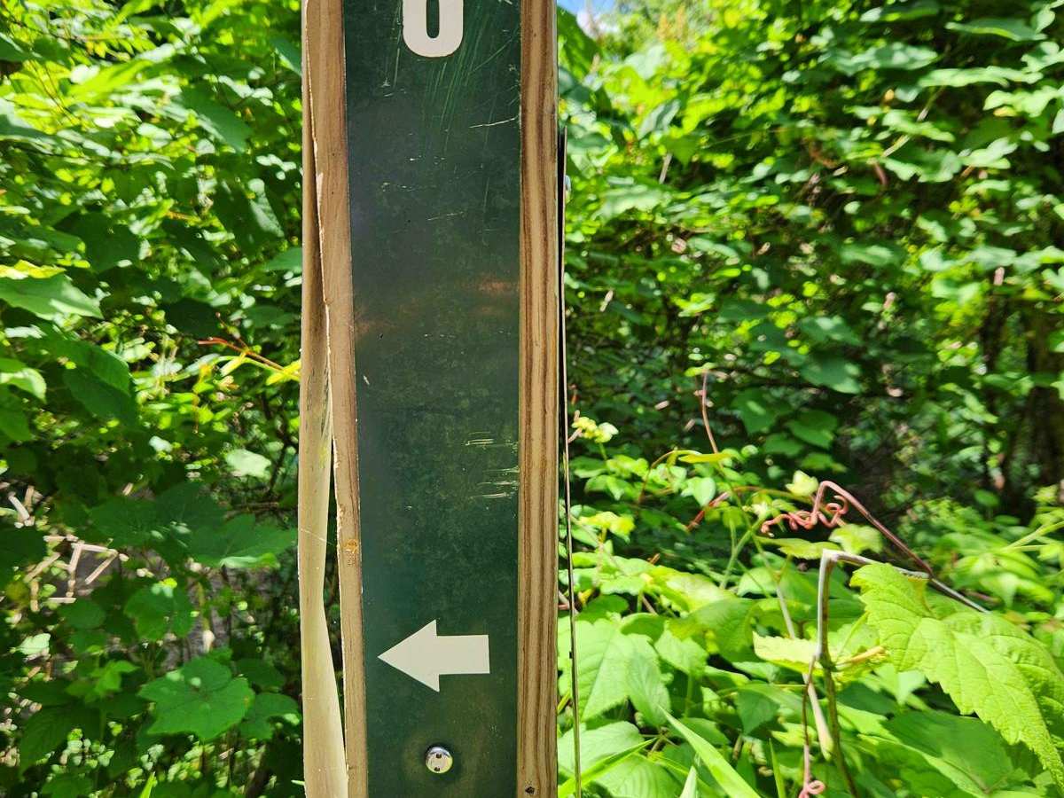 Trail 6 - Rock Run Recreation Area trail photo