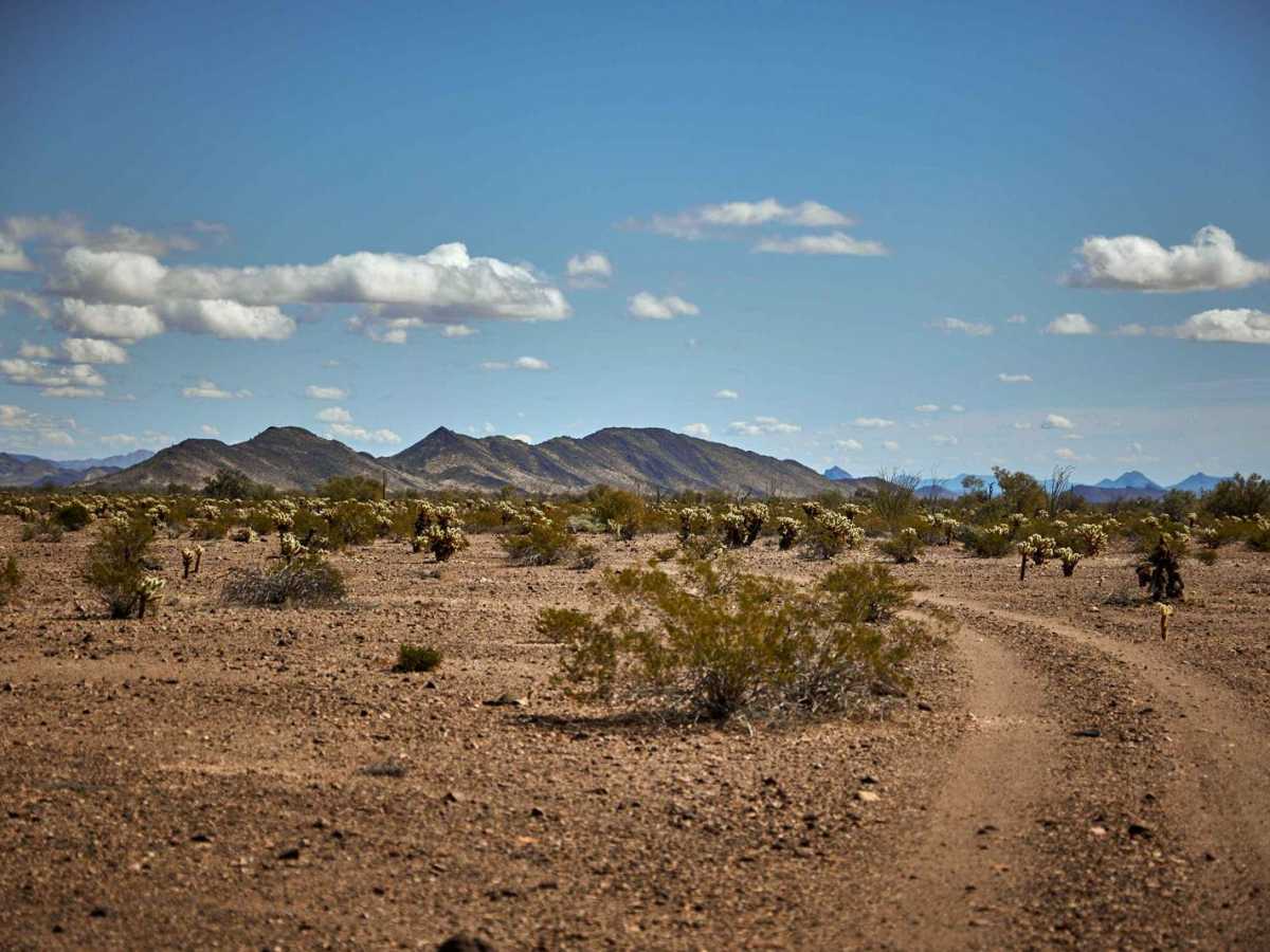 Western Red Raven Road trail photo