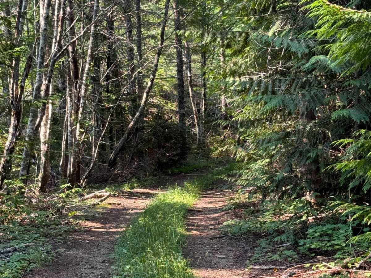 Porcupine Creek photo 6
