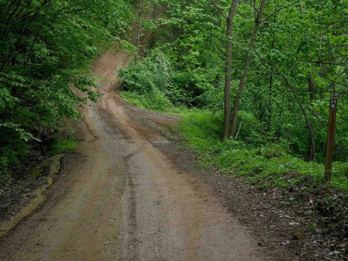 BM 24 photo 2