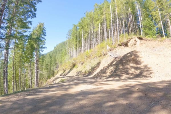 Cedar Butte Road