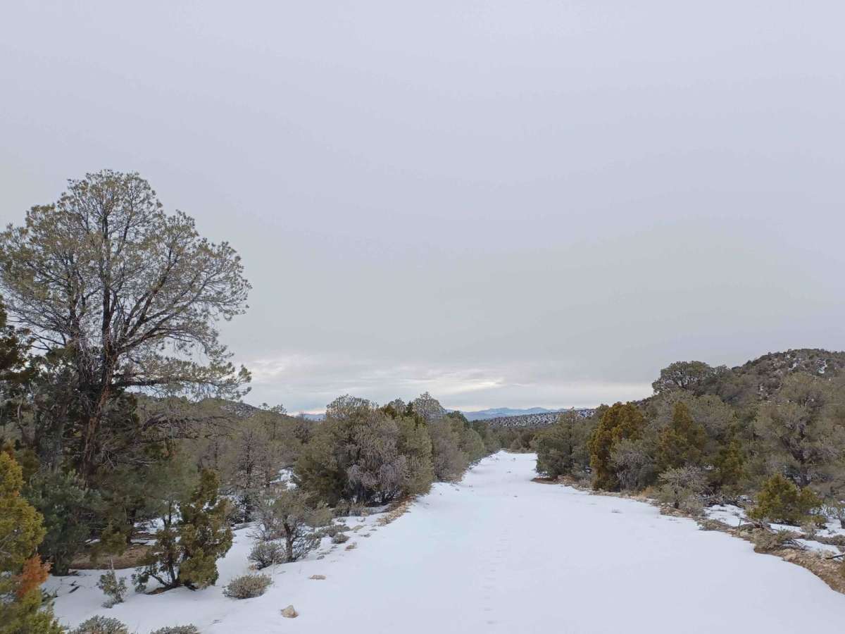 Penoyer Spring Road photo 6
