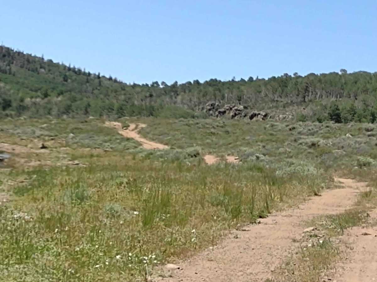 Big Lake Loop - FS 41154 photo 4
