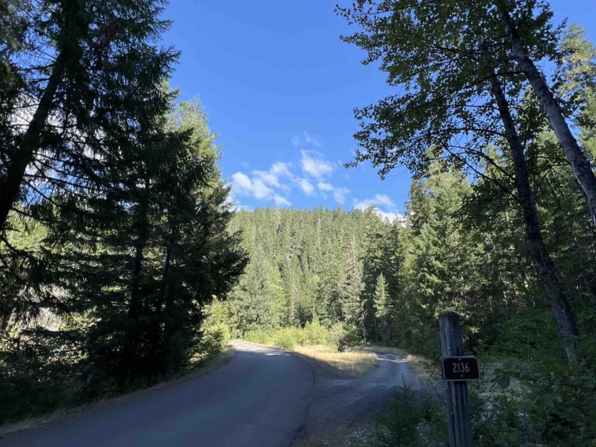 Stanley Creek 2136 photo 2