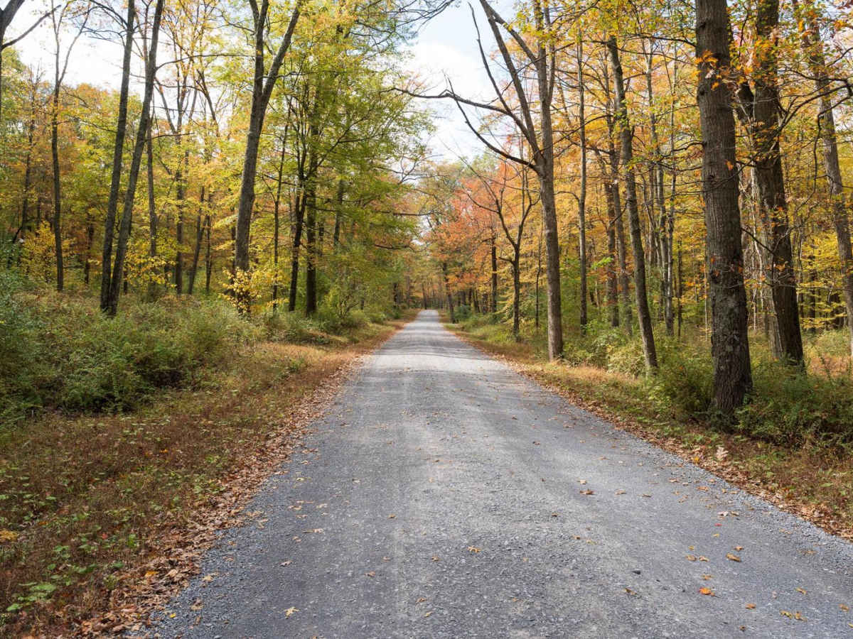 Bear Meadows Road photo 4