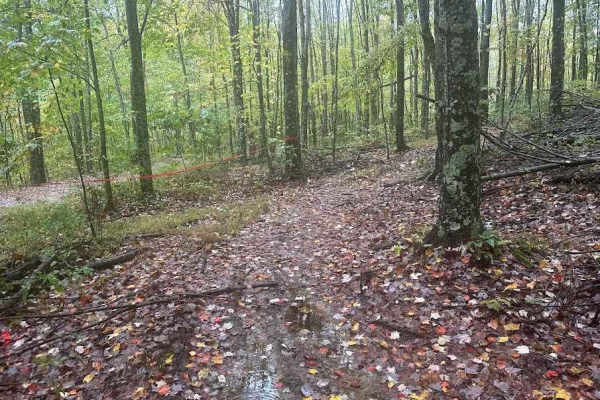 189 Single Track