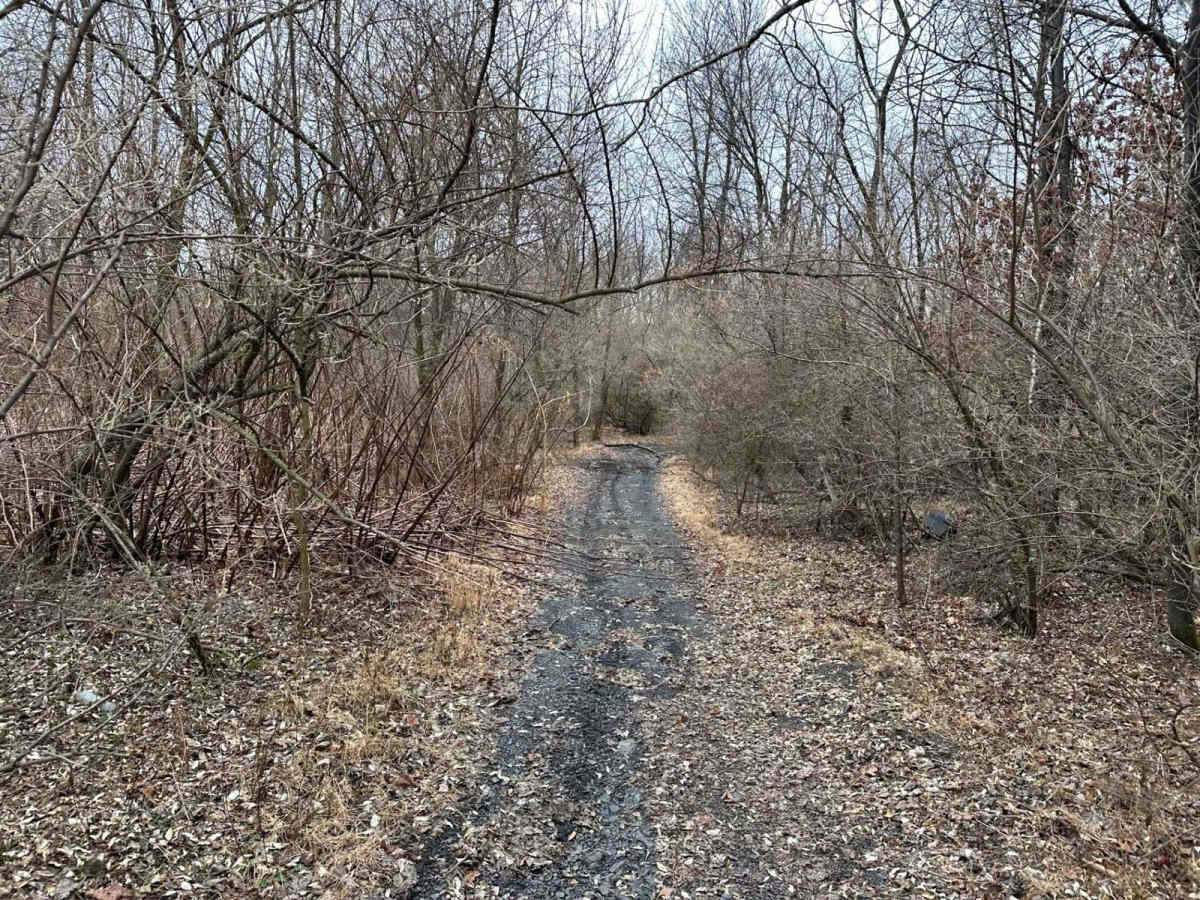 Locust Gap 25 photo 3