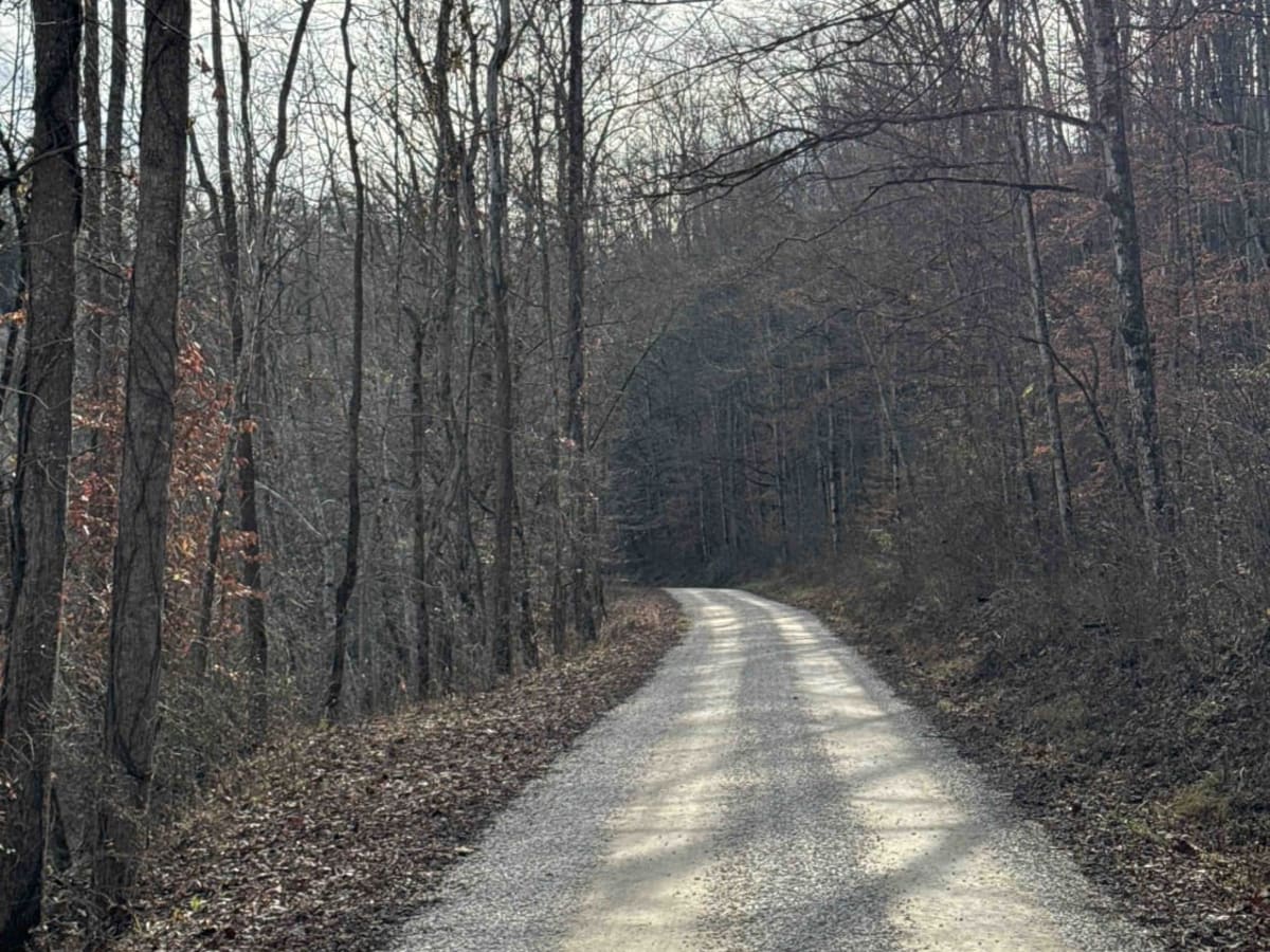 Todds Road photo 2
