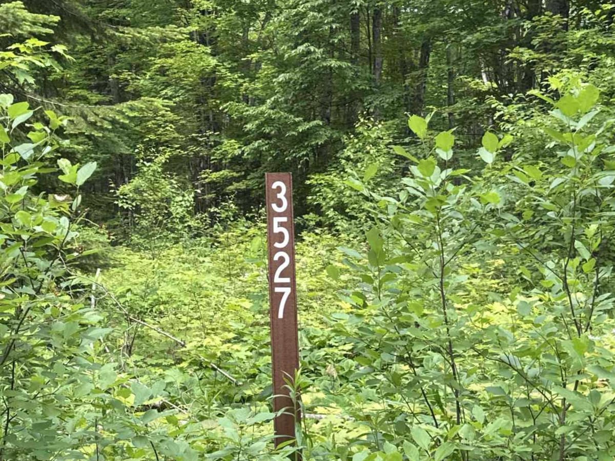 FS 3527 trail photo