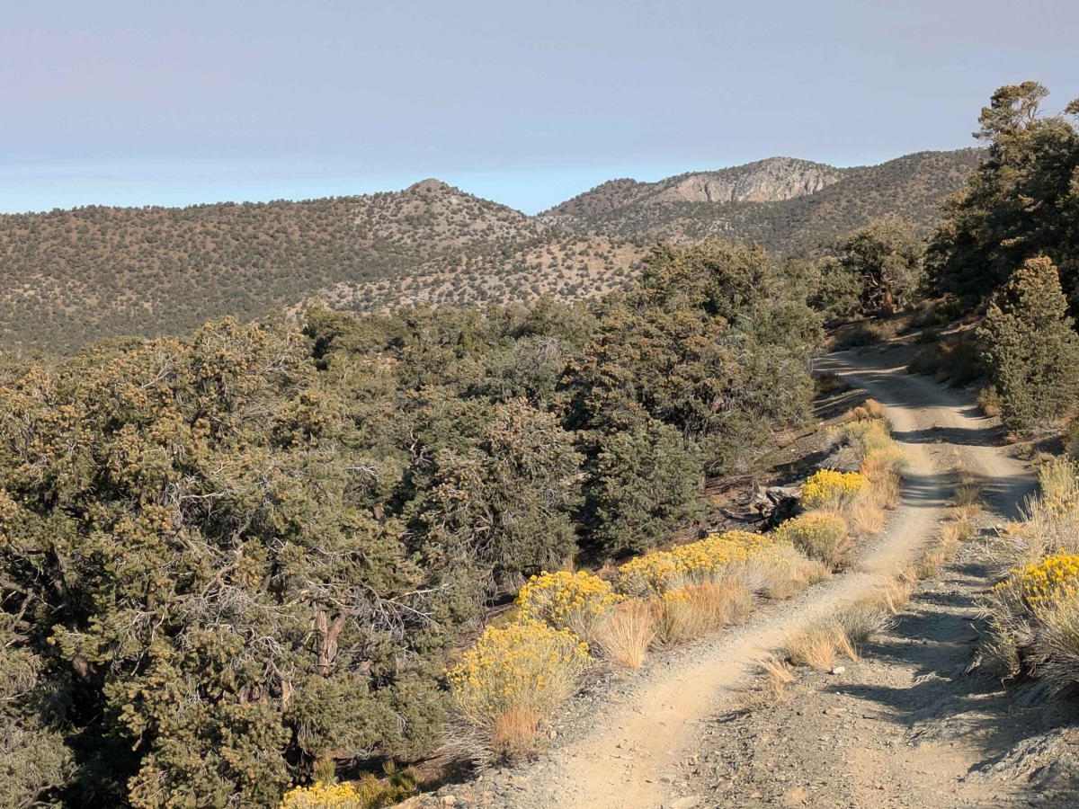 Grandview Mine Road - 7S129 photo 5