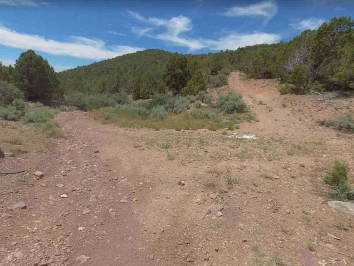 Burn Road trail photo