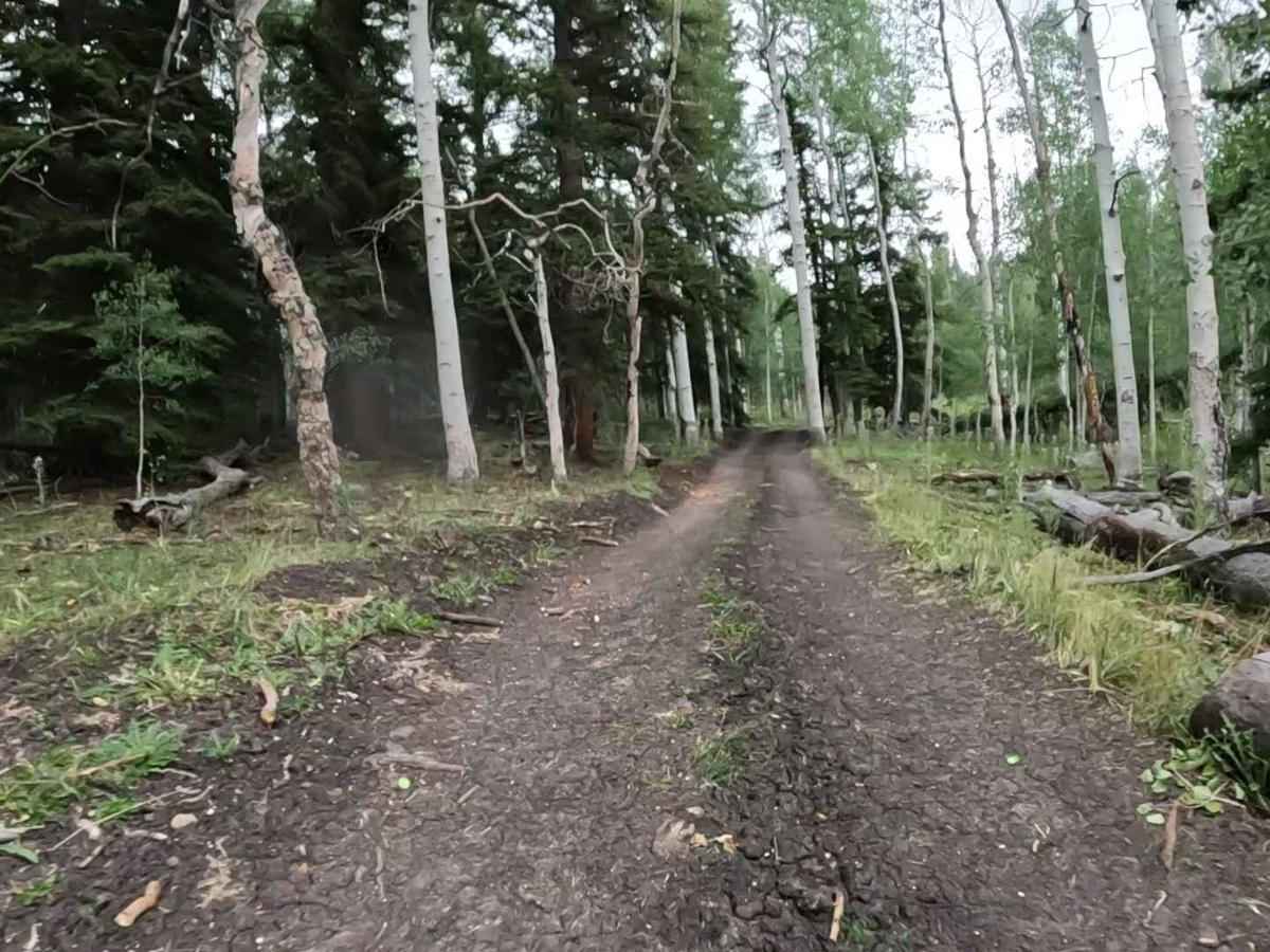 Willow Bunch photo 4